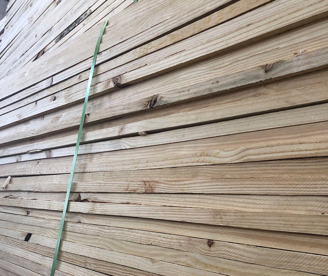 城关巴西松